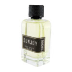 پرفیوم اکستریت مردانه سانجوی سان شاین100 میل SUNJOY EXTRAITE DE PARFUM SUNSHINE 100ML - تصویر 2