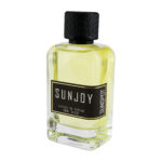 پرفیوم اکستریت مردانه سانجوی سان اسپات 100 میل SUNJOY EXTRAITE DE PARFUM SUNSPOT 100ML - تصویر 2