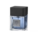 ادوپرفیوم مردانه پرفیوم هاوس فرش PERFUME HOUSE FRESH EDP 100ML MEN